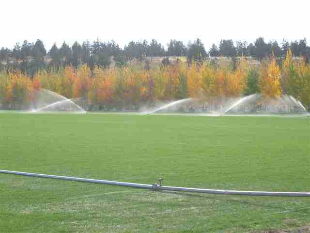 sodfieldsprinklerslow.jpg