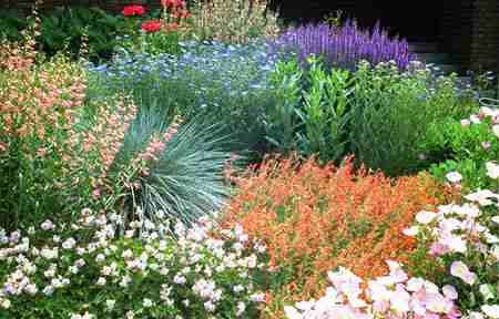 xeriscapelow.jpg